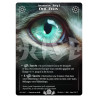 Oeil De Félin