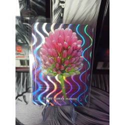 Light Clover Flower