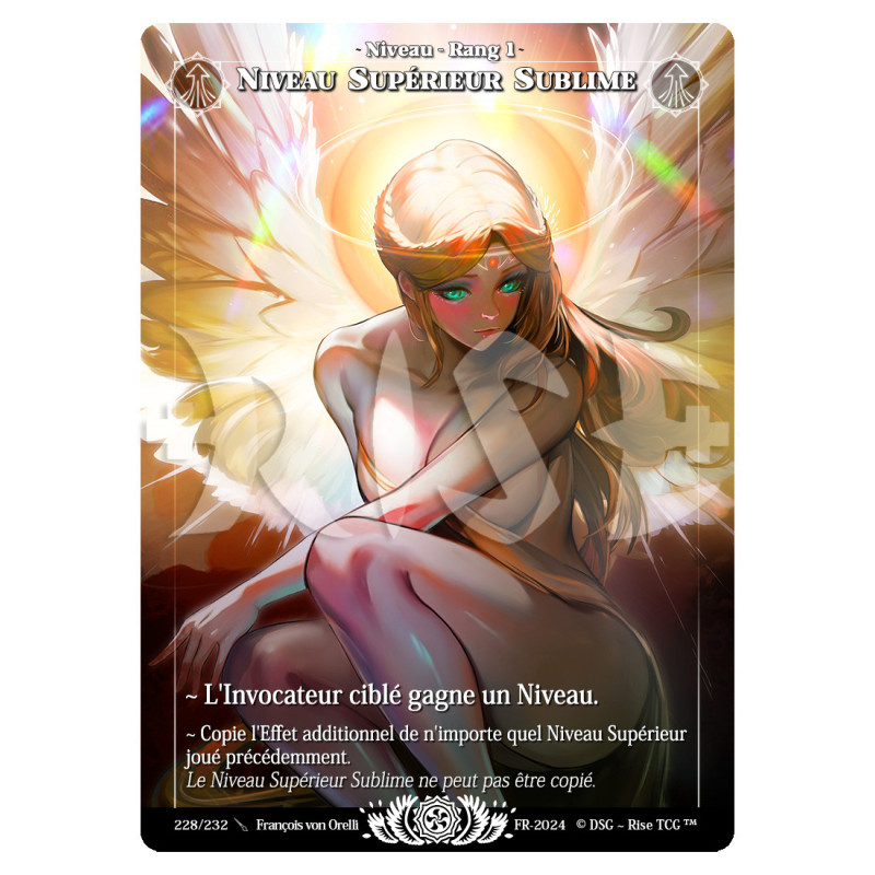 Niveau Supérieur Sublime